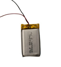 Ersatzbatterie miniHomer